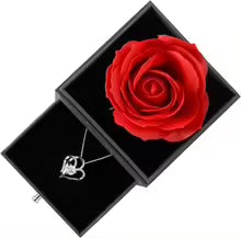 Collier Cœur Argenté - Coffret Cadeau avec Rose Rouge éternelle